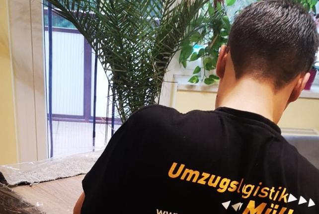 Laborumzug Eichigt stressfrei umziehen 